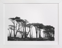 Lands End Fine Art Prints