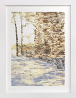 Winter Walk Fine Art Prints