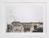 Brooklyn Fine Art Prints