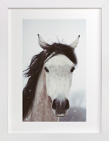 Winter Horse Fine Art Prints