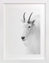 Fierce Fine Art Prints