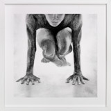 Focus Fine Art Prints