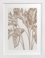 Bird of Paradise Fine Art Prints