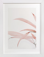 Mogna01 Fine Art Prints