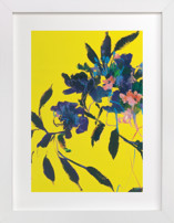 Sunwards Fine Art Prints