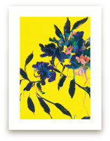 Sunwards by Sonal Nathwani