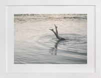 nightswimming Fine Art Prints