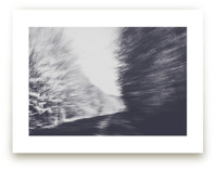 Tree line by Lying on the grass