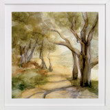 Dreamy Olive Trees