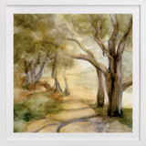 Dreamy Olive Trees