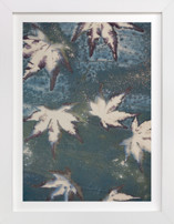 Reverie ll Fine Art Prints