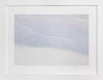 Tranquil Fine Art Prints
