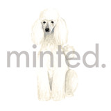 Poodle Design Element