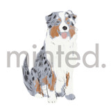 Australian Shepherd Design Element