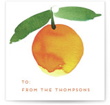 Sweet oranges Gift Tags