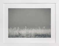 Morning Impressions Fine Art Prints