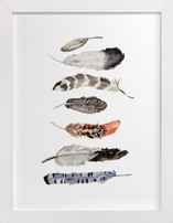 Feather Print Fine Art Prints