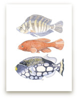 Three Fish by Natalie Groves