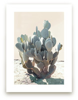 Blue Cactus by Wilder California