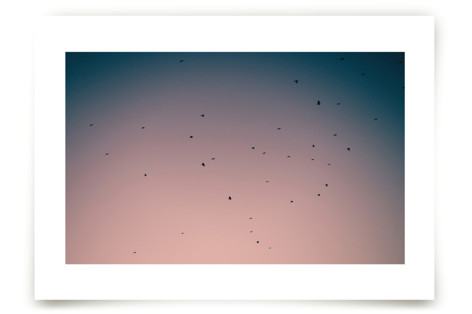 First Flight Art Prints