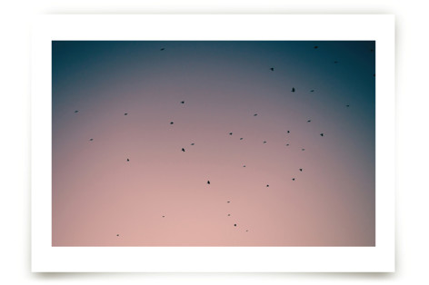 First Flight Art Prints