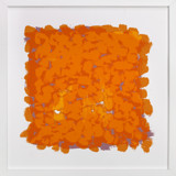 Miami Still Life Fine Art Prints