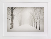 Winter Journey Fine Art Prints