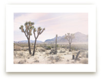 Joshua Tree No. 10 by Wilder California