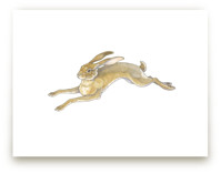 Wild Hare by Natalie Groves