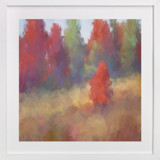 Forest Mist Fine Art Prints