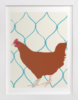 Rhode Island Red Fine Art Prints