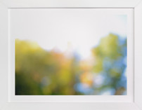 autumn obscured Fine Art Prints