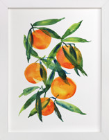 Tangerine Fine Art Prints