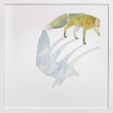 Fox Shadow Fine Art Prints