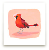 Inquisitive Cardinal by Betty Hatchett