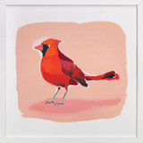 Inquisitive Cardinal Fine Art Prints