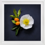 Bold and Botanical No. 1