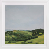 Rolling Vines Fine Art Prints