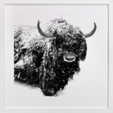 Below Zero Fine Art Prints