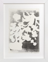 Modern Floral Series 1 Fine Art Prints