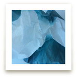 Shibui 2 by Jenny Phillips