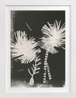 Paper Flower 1 Fine Art Prints