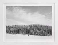 Stand Tall Fine Art Prints