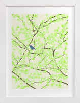Plum tree with Birds in Spring Fine Art Prints