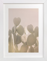 Pink and Yellow Cactus Fine Art Prints