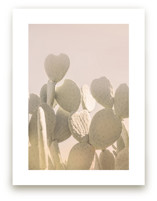 Pink and Yellow Cactus by Wilder California