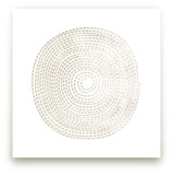 surround me by R studio