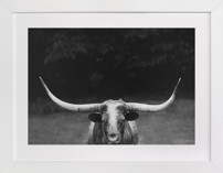 Natasha Fine Art Prints