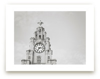 liver bird by Stacy Cooke