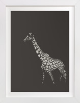fading giraffe